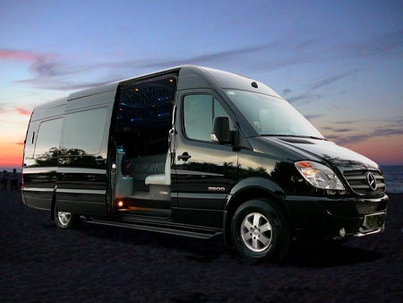 12 Passenger ford excursion limo #6